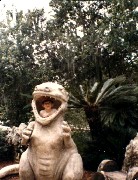 Andy McDougal; Trips Florida 1989