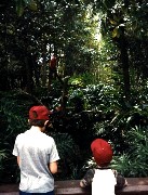Andy McDougal; Ben Dorrough; Trips Florida 1989