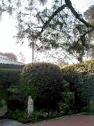 Princess Hotel; Guatemala City; Coban Trips