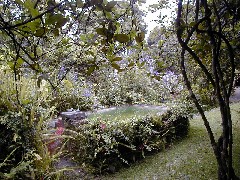 Coban Guatemala Trips