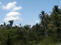 Candelaria Guatemala Trips
