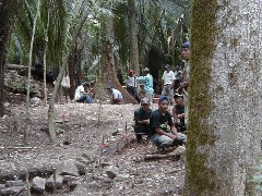 Cancuen Guatemala Trips archeology
