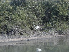 Aguateca Guatemala Trips Pasion River;
