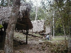 Dos Pilas; Guatemala Trips