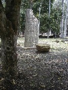 Dos Pilas; Guatemala Trips; archeology;