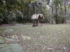 Guatemala Trips; El Ceibal; guide Jorge Garcias