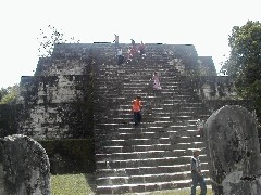 Guatemala Tikal Trips archeology;