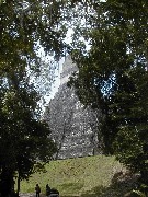 Guatemala Tikal Trips