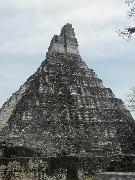 Guatemala Tikal Trips