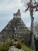 Guatemala Tikal Trips