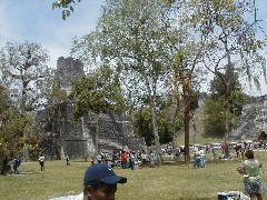 Guatemala Tikal Trips
