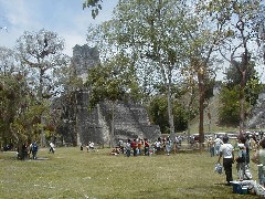 Guatemala Tikal Trips