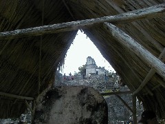 Guatemala Tikal Trips