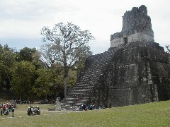 Guatemala Tikal Trips