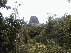 Guatemala Tikal Trips