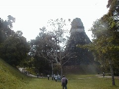 Guatemala Tikal Trips