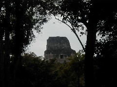 Guatemala Tikal Trips