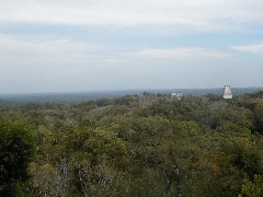 Guatemala Tikal Trips