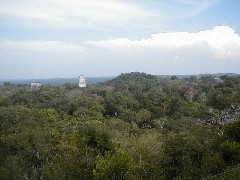 Guatemala Tikal Trips