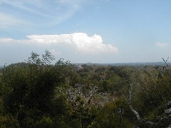 Guatemala Tikal Trips