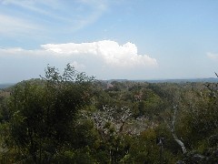 Guatemala Tikal Trips
