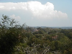 Guatemala Tikal Trips
