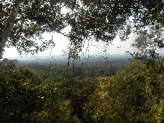 Guatemala Tikal Trips