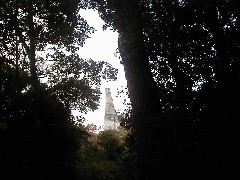 Guatemala Tikal Trips