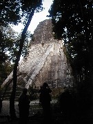 Guatemala Tikal Trips