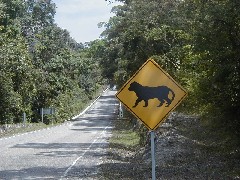 Guatemala Tikal Trips 
sign jaguar