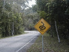 Guatemala Tikal Trips 
sign snake