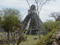 Guatemala Tikal Trips