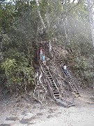Guatemala Tikal Trips