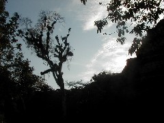 Guatemala Tikal Trips