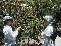 Antigua Guatemala trips; Olga Slowing; guide