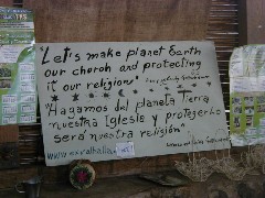 Guatemala trips;