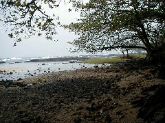 Trips Hawaii Arnott s Lodge Ocean Beach