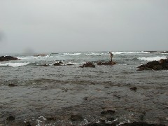 Trips Hawaii Arnott s Lodge Ocean Beach