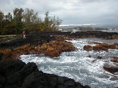 Family Trips Hawaii Arnott s Lodge Ocean