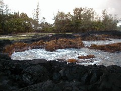 Family Trips Hawaii Arnott s Lodge Ocean