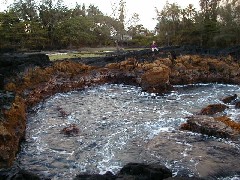 Family Trips Hawaii Arnott s Lodge Ocean