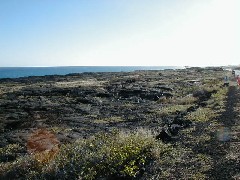 Trips Hawaii Volcano Tour