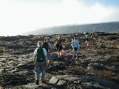 Trips Hawaii Volcano Tour
