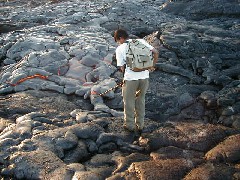 Trips Hawaii Volcano Tour
