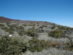 Trips Hawaii Mauna Kea Volcano Tour