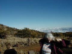 Ruth Bennett McDougal Dorrough; Trips Hawaii Arnott s Lodge Mauna Kea Tour