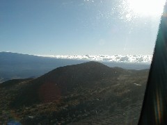 Trips Hawaii Arnott s Lodge Mauna Kea Tour