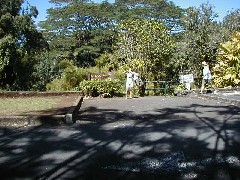 Akaka Falls State Park; Valleys Waterfalls tour