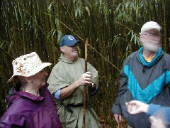 Ruth Bennett McDougal Dorrough; Trips Hawaii Valleys Waterfalls tour