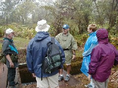 guide; ; guide; Metti Irene Dahl; Ruth Bennett McDougal Dorrough; guide; Trips Hawaii Waterfalls tour